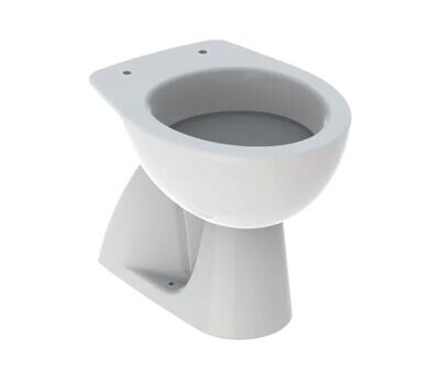 GEBERIT - COLIBRÌ VASO WC A PAVIMENTO A CACCIATA CON SCARICO VERTICALE BIANCO 500.856.00.1