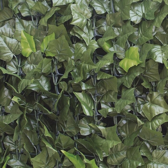 VERDELOOK - SEMPREVERDE POINT EDERA 1 X 5 MT. SIEPE DECORATIVA 790/5