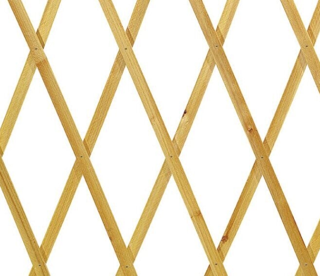 VERDELOOK - TRALICCIO ESTENSIBILE IN LEGNO NATURALE 100 X 300 CM. 802/3