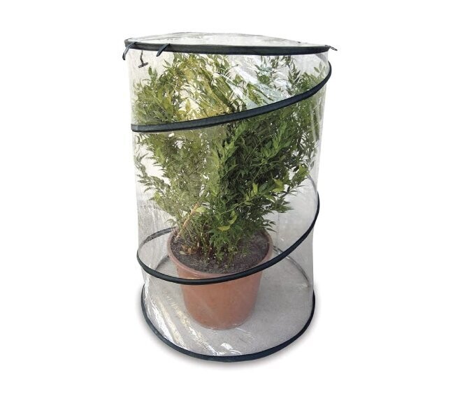 VERDELOOK - MINISERRA POP-UP CON STRUTTURA IN PVC ALTEZZA 110 CM DIAMETRO 70 CM, RICHIUDIBILE, PORTATILE, PER PIANTE DI PICCOLE DIMENSIONI, SALVASPAZIO, ADATTA A BALCONI E TERRAZZE VERDELOOK - MINISERRA POP-UP CON STRUTTURA IN PVC ALTEZZA 110 CM DIAMETRO 70 CM, RICHIUDIBILE, PORTATILE, PER PIANTE DI PICCOLE DIMENSIONI, SALVASPAZIO, ADATTA A BALCONI E TERRAZZE