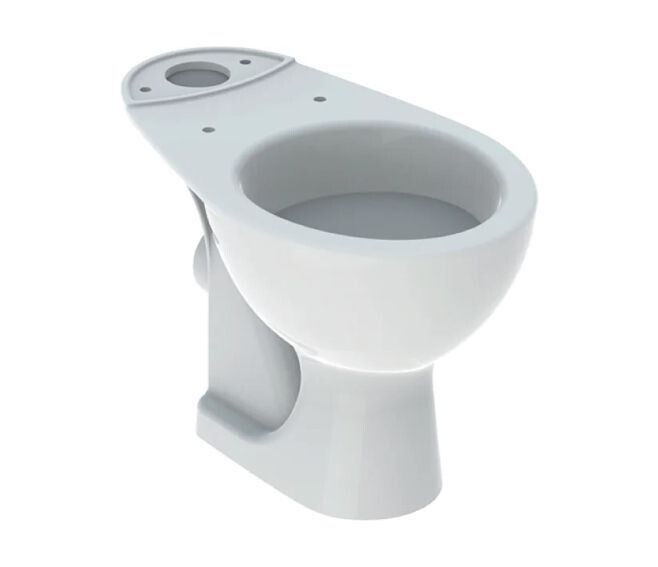 GEBERIT - COLIBRÌ VASO WC A PAVIMENTO PER CASSETTA DI RISCIACQUO ESTERNA MONOBLOCCO BIANCO 500.859.00.1