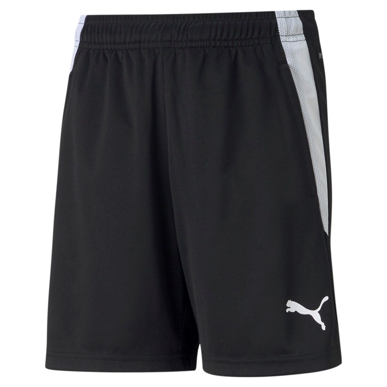 teamLIGA Training Shorts