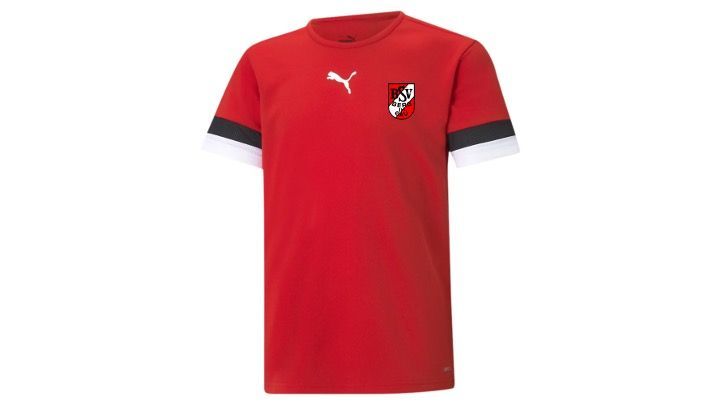 teamRISE Jersey