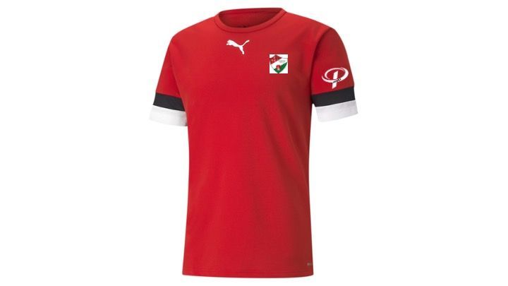 teamRISE Jersey