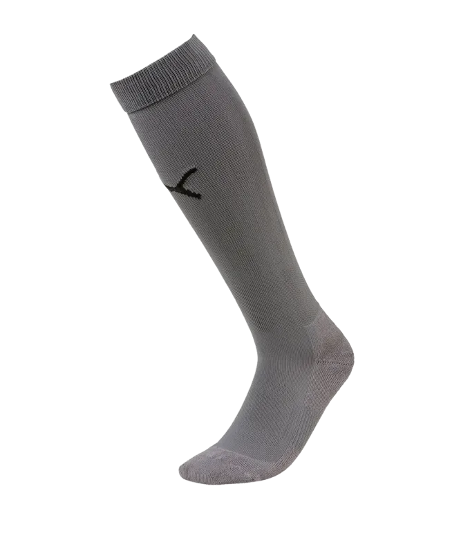 Team LIGA Socks CORE