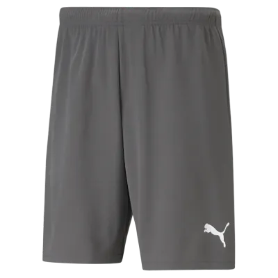 teamRISE Short teamRISE Short