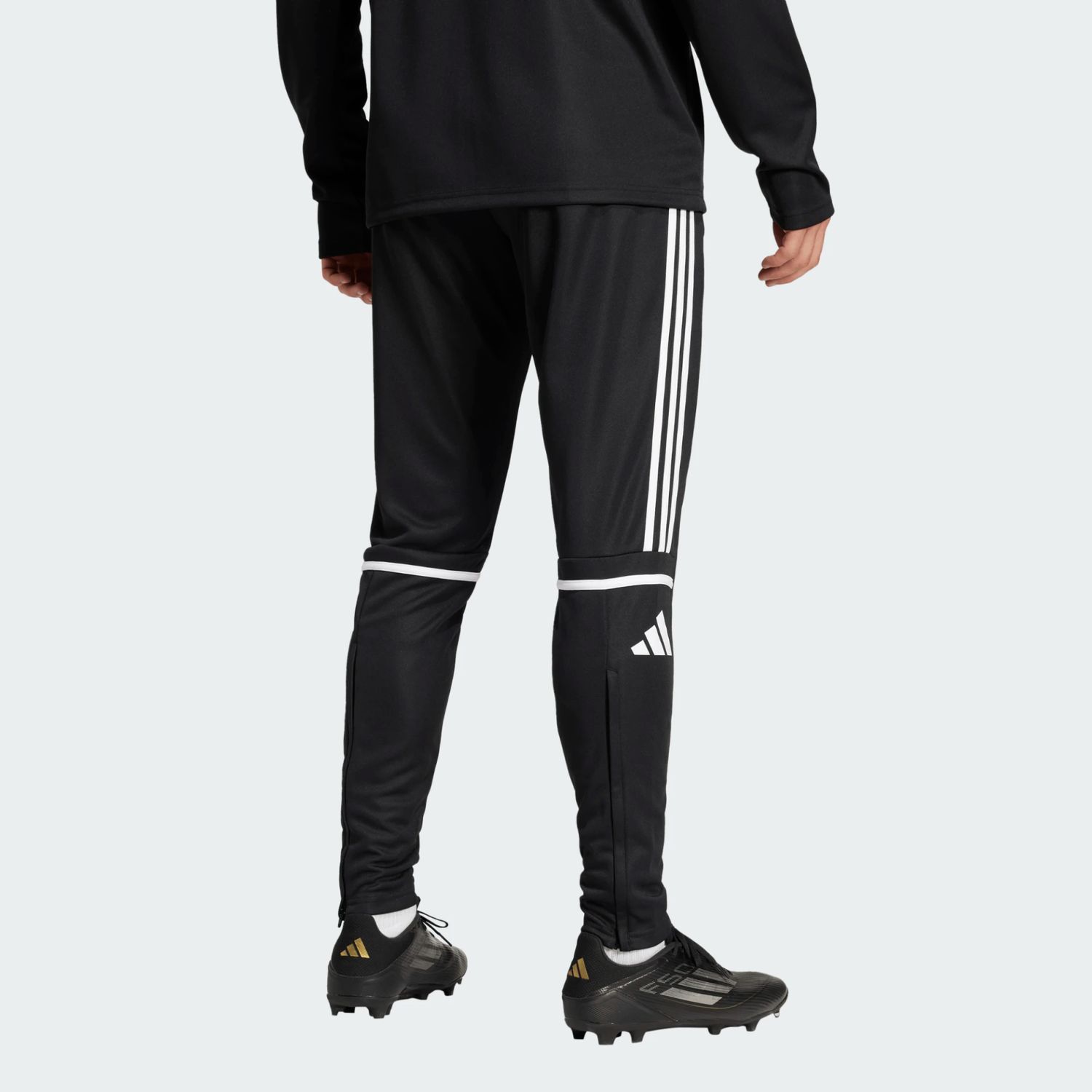 Squadra 25 Training Pants