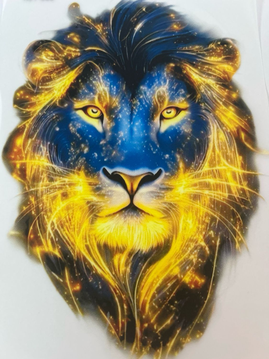 Pegatina ROPA Mediana LEÓN Pegatina ROPA Mediana LEÓN
