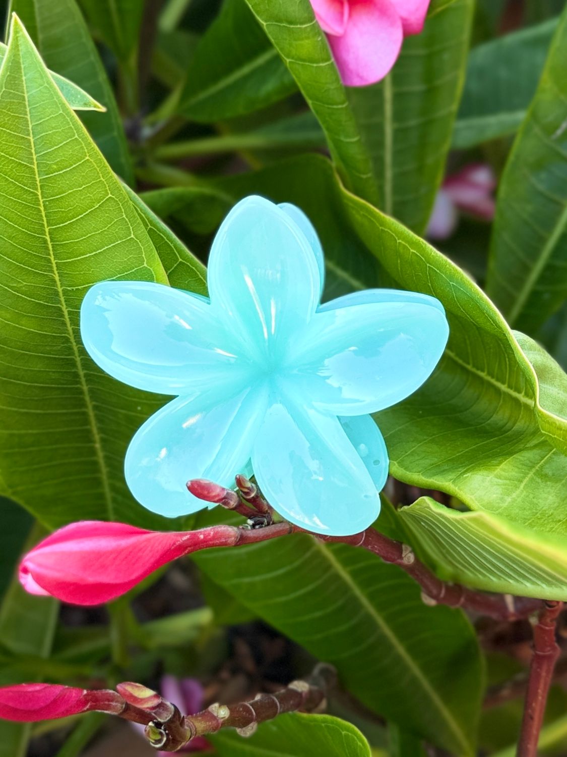 AP Tropical Claw - Creamy Blue/Green