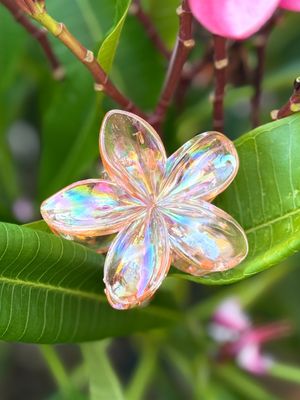 AP Tropical Claw - Iridescent 2