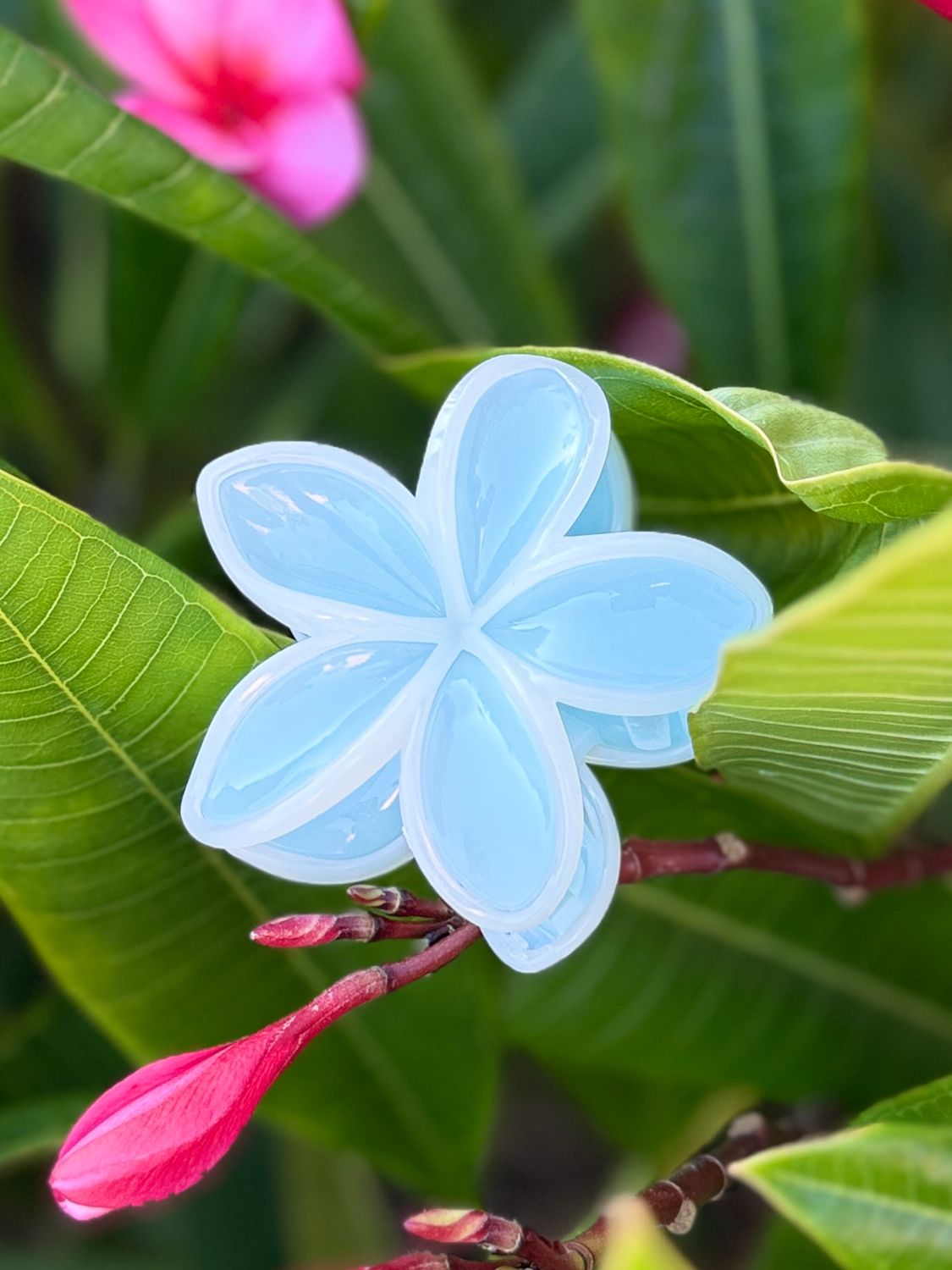 AP Tropical Claw - Blue Liner