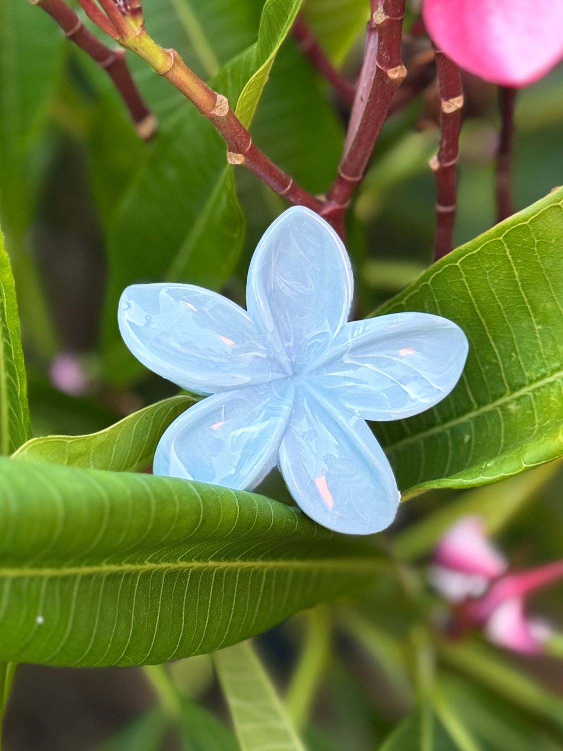 AP Tropical Claw - Blue Marble
