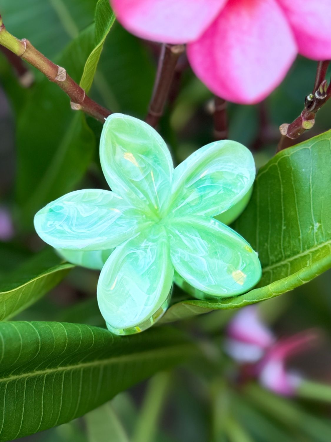 AP Tropical Claw - Green Marble