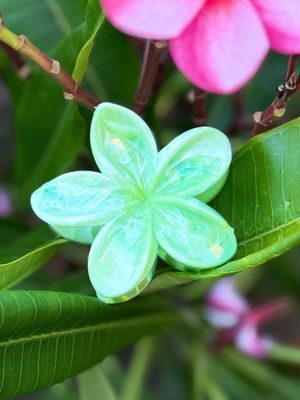 AP Tropical Claw - Green Marble