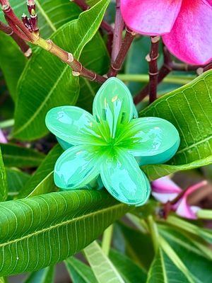 AP Tropical Claw - Green