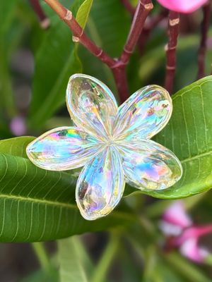 AP Tropical Claw - Iridescent 3