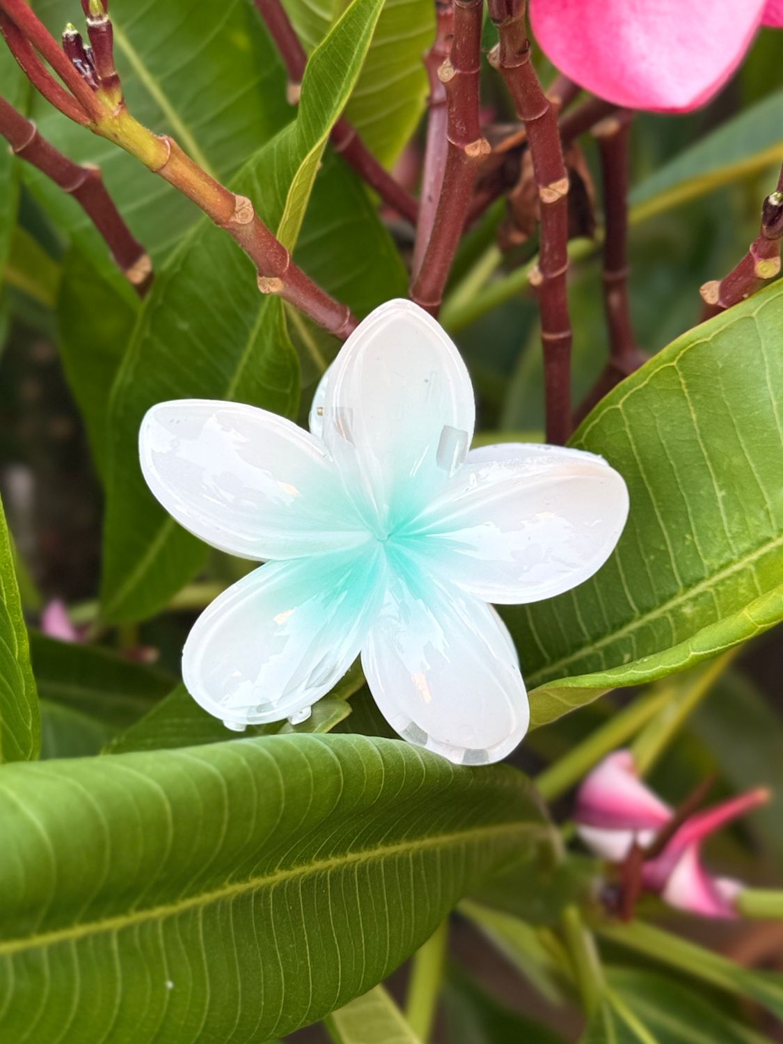 AP Tropical Claw - White &amp; Green Blend