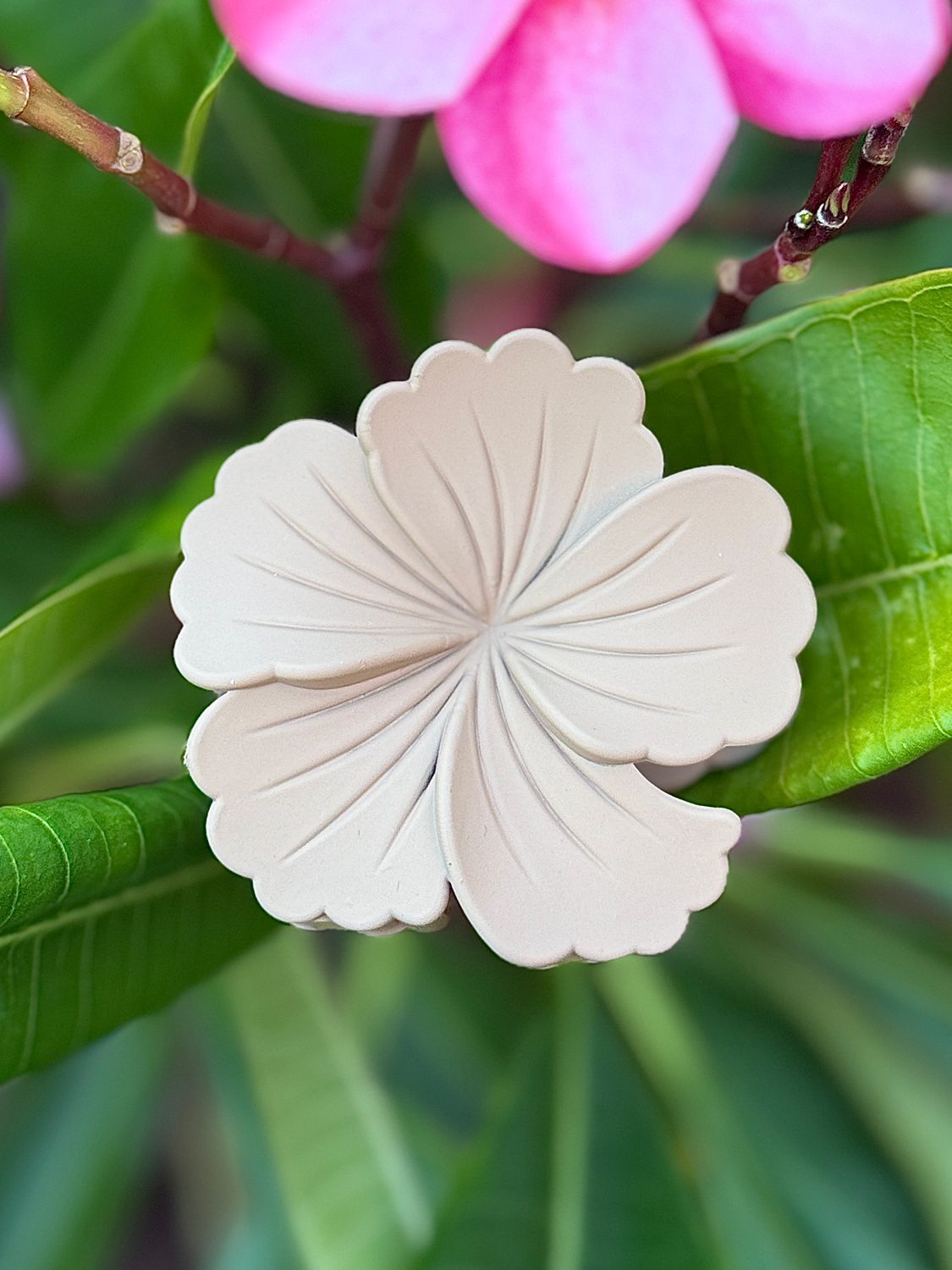 AP Hibiscus - Light Brown Solid