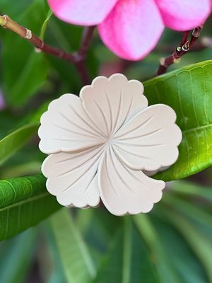 AP Hibiscus - Light Brown Solid