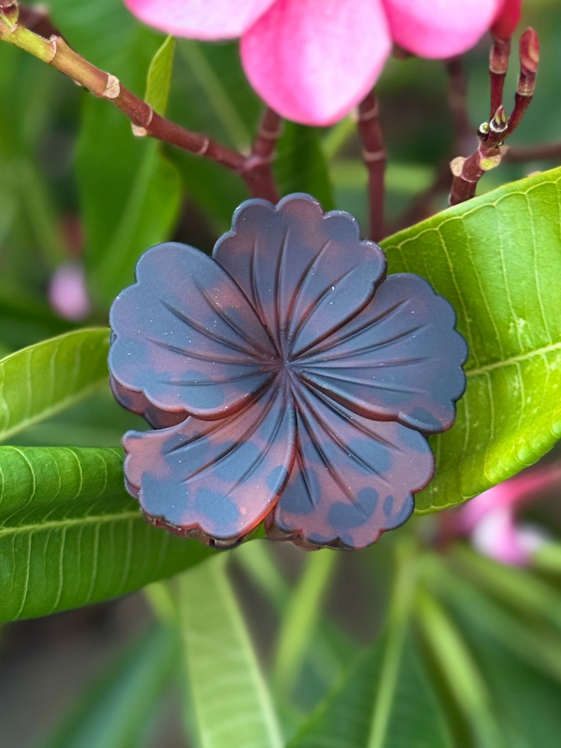 AP Hibiscus - Leopard Brown