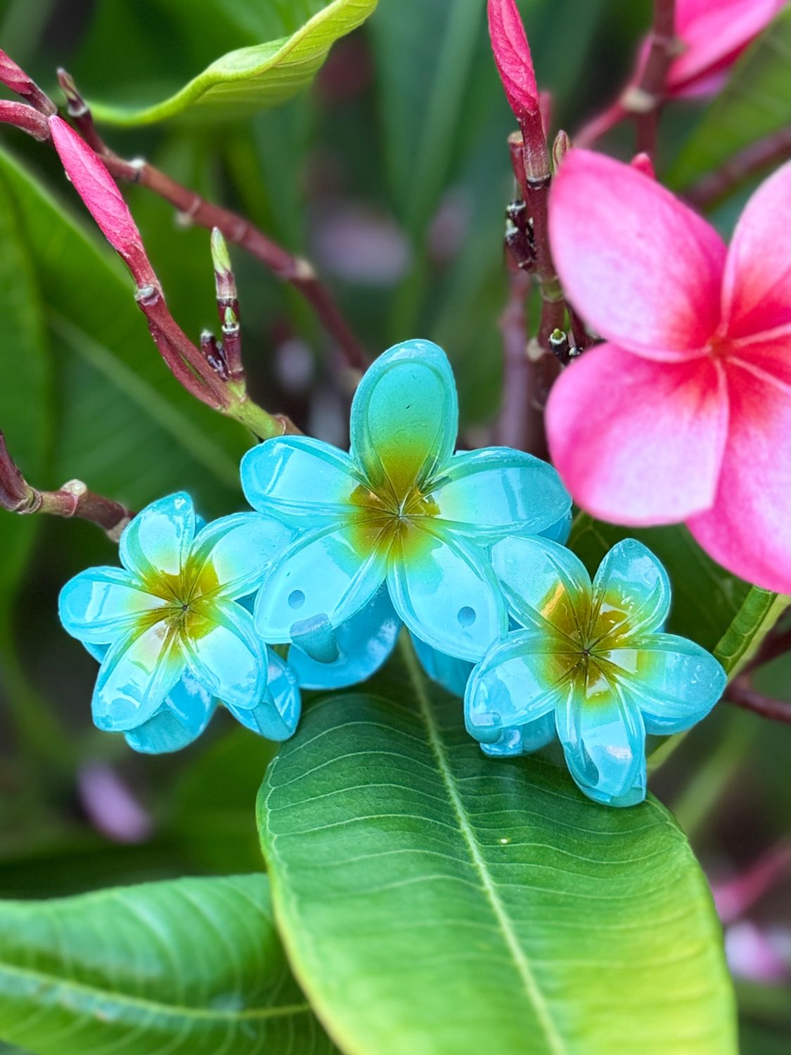 AP Triple - Light Blue Blend