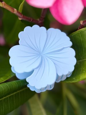 AP Hibiscus - Light Blue Solid