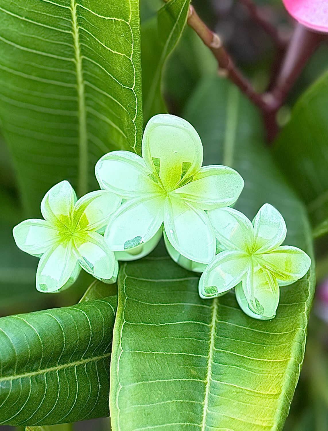 AP Triple - Green Blend