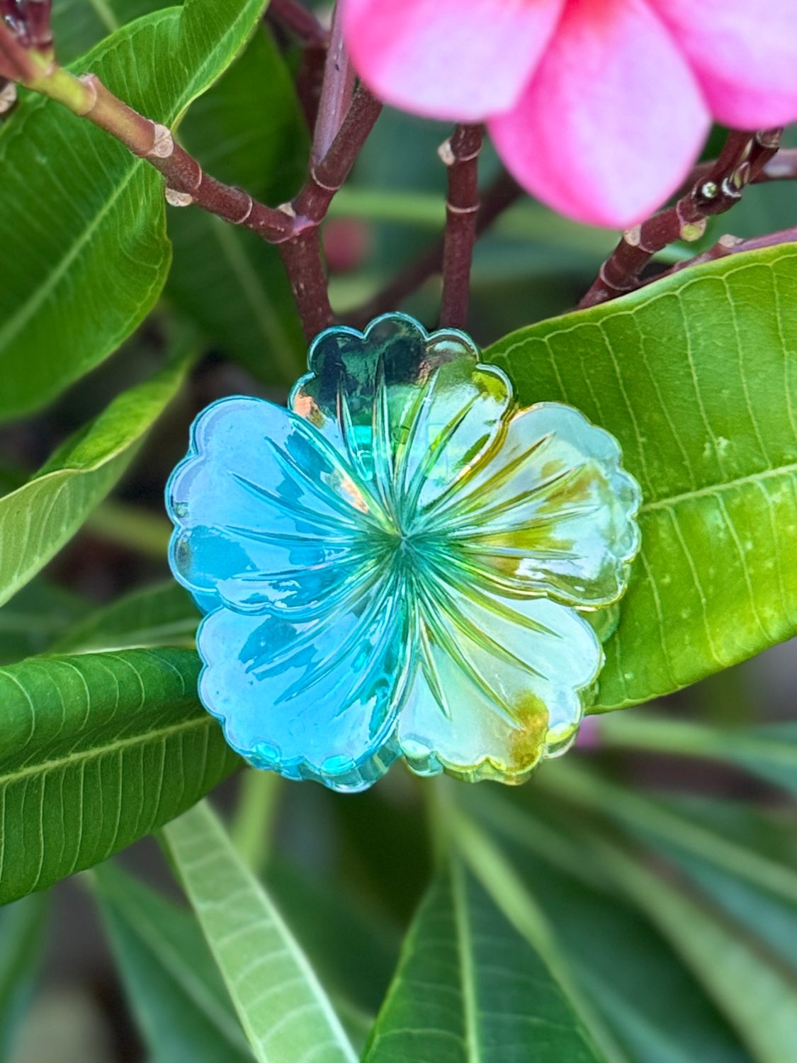 AP Hibiscus - Ocean Blue &amp; Yellow Blend