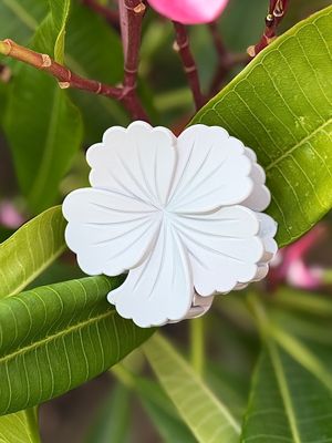 AP Hibiscus - Grey Blend
