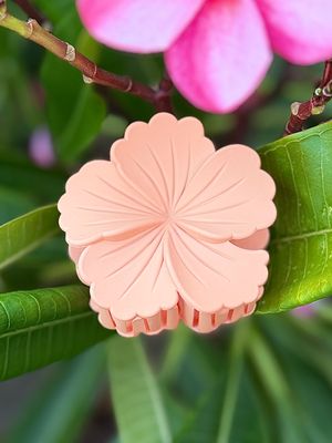 AP Hibiscus - Orange Solid