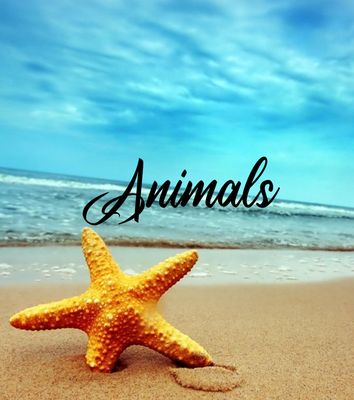 Animals