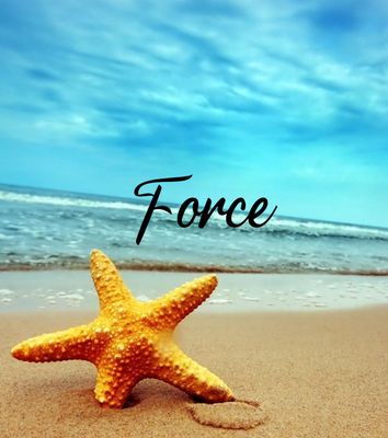 Force