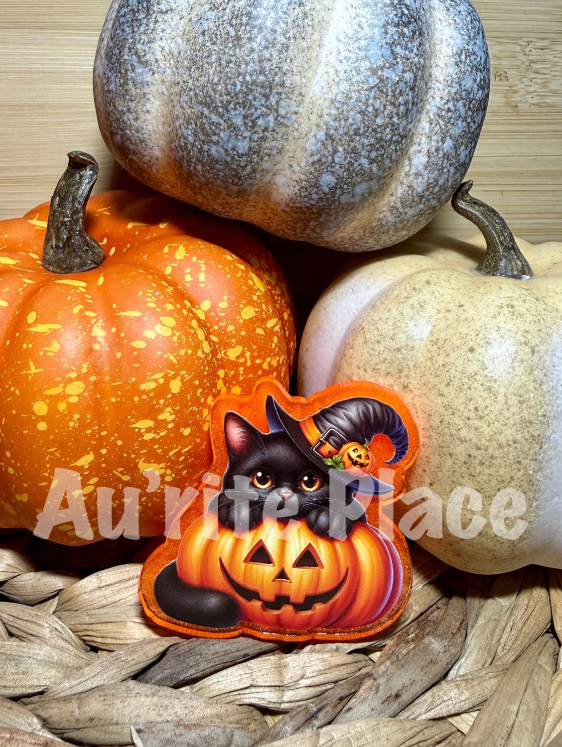 Pumpkin Cat Witch