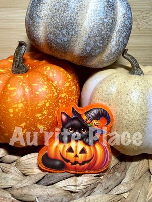Pumpkin Cat Witch