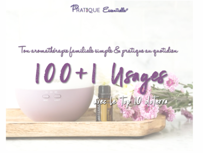 Guide 100+1 usages EBOOK