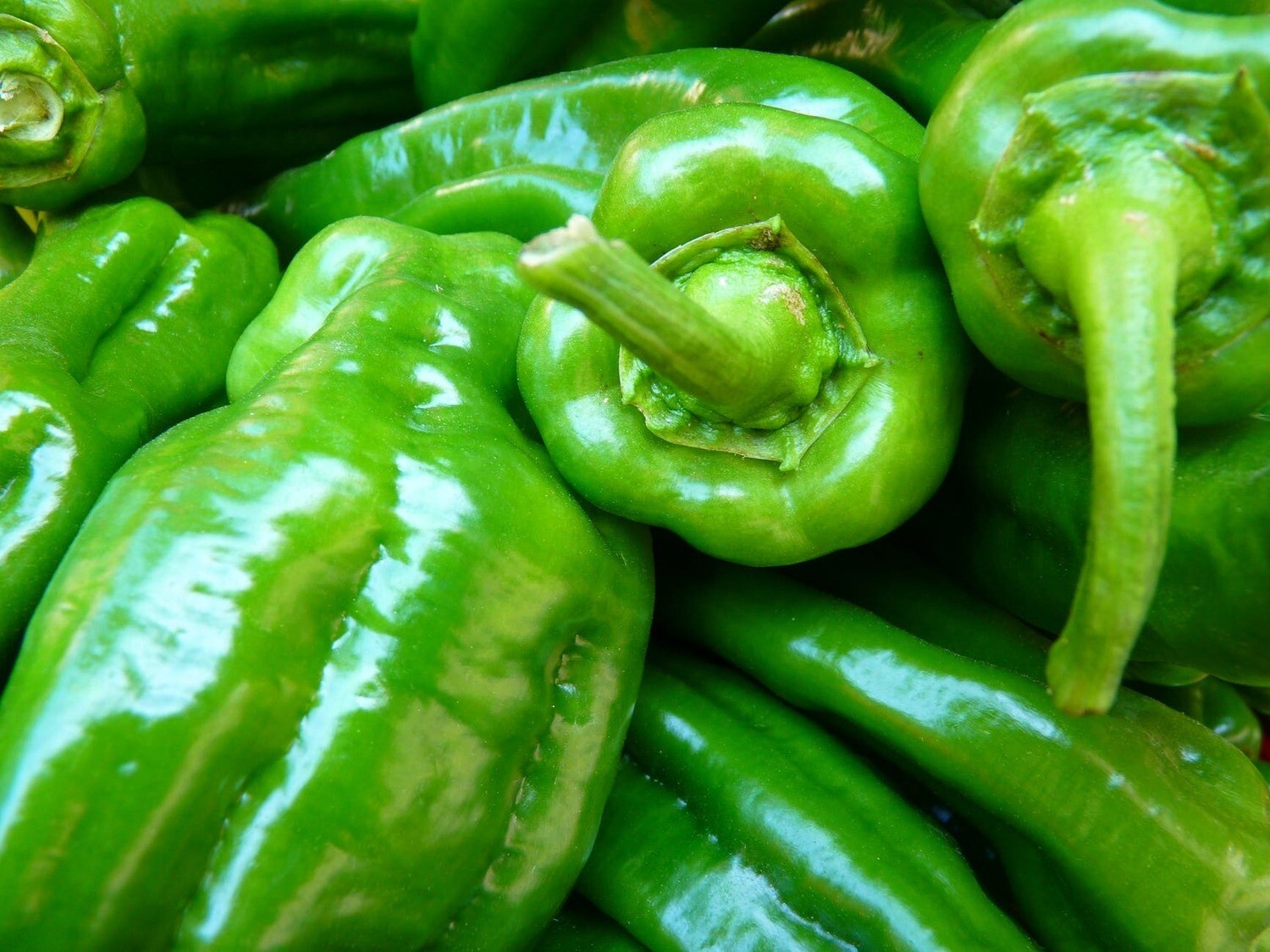 PEPPERS GREEN