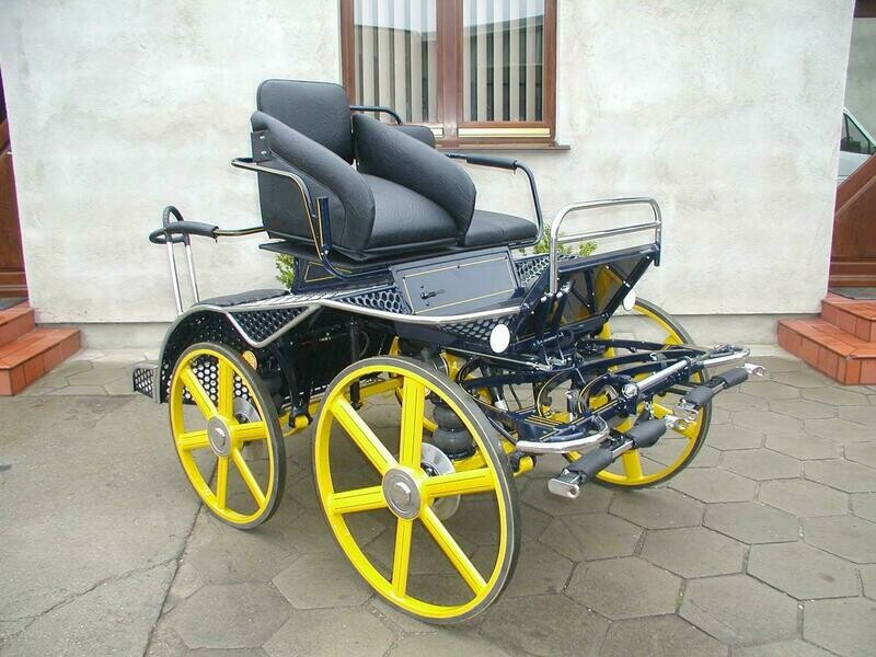 MARATHON SPORT 1 CHEVAL 041