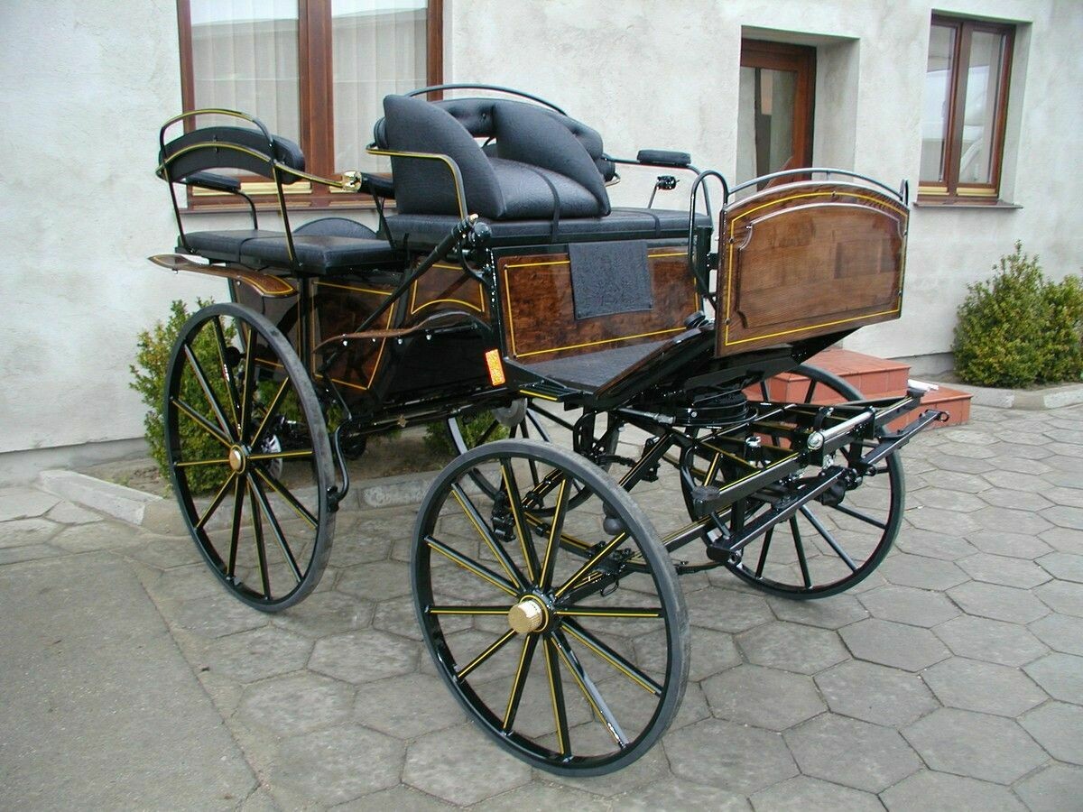 WAGONNETTE CHEVAL 6 places 014A