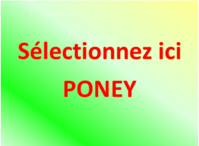 PONEY