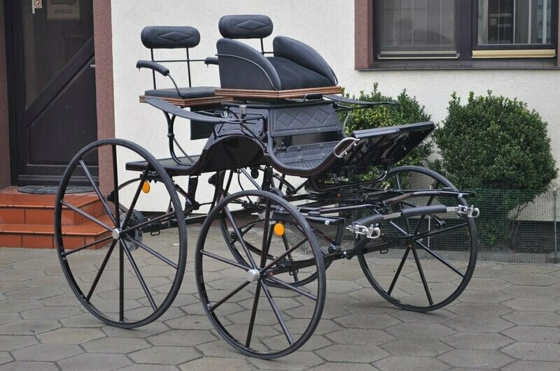 SPIDER BREACK PONEY 064F