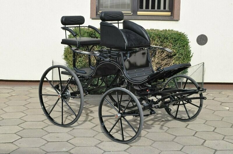 SPIDER BREACK PONEY 064I