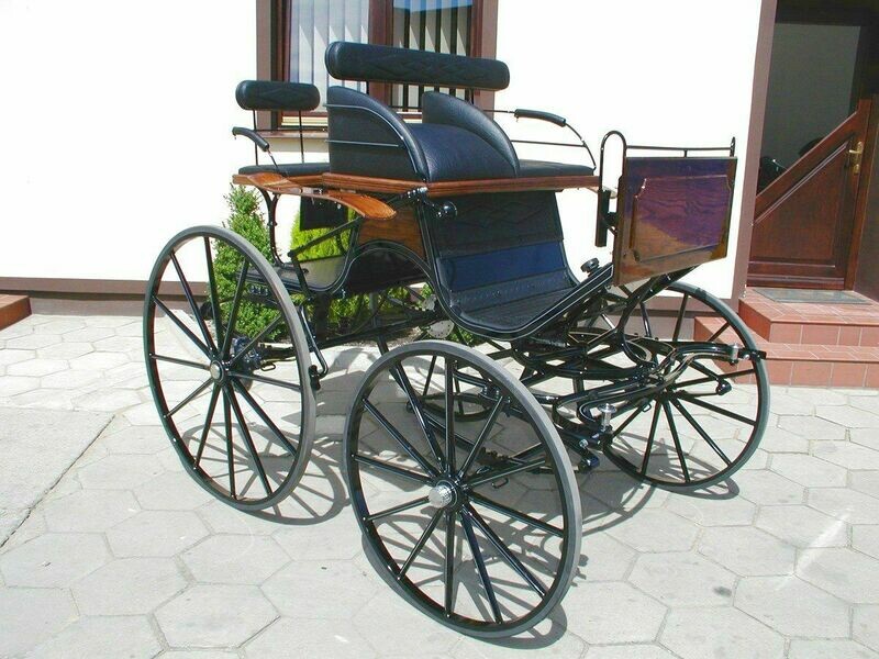 SPIDER CINTRE CHEVAL 065