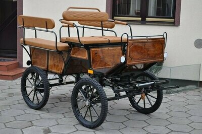 WAGONNETTE CHEVAL 6 places 055B - PROMOTION