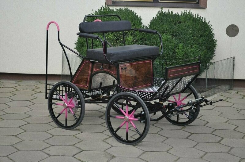 WAGONNETTE MINI SHETLAND 003A