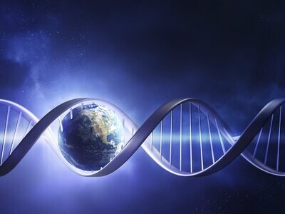 12 Strand DNA Activation Certificated