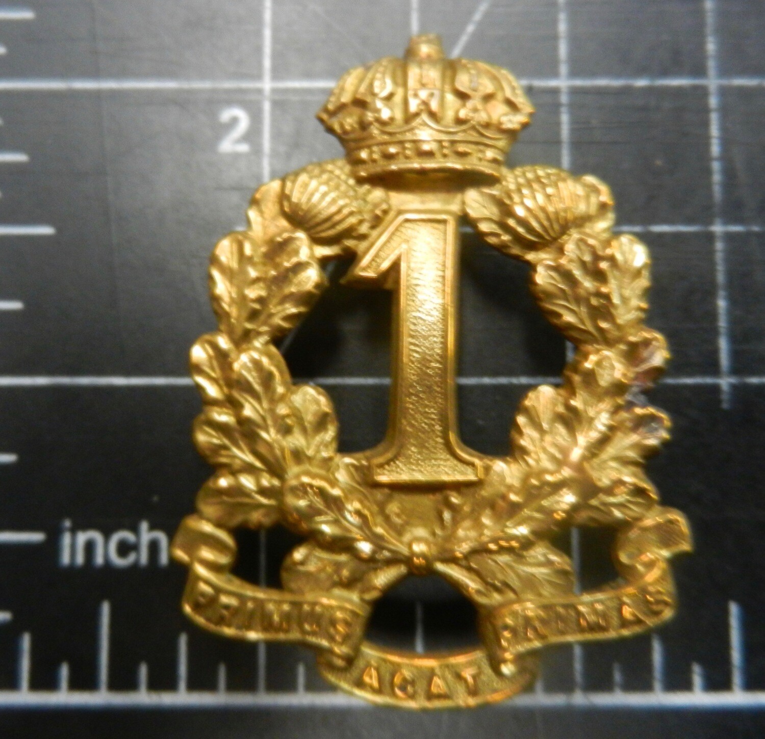 1st Regiment NSW Volunteer Infantry hat badge, 1878 Pre-Fed