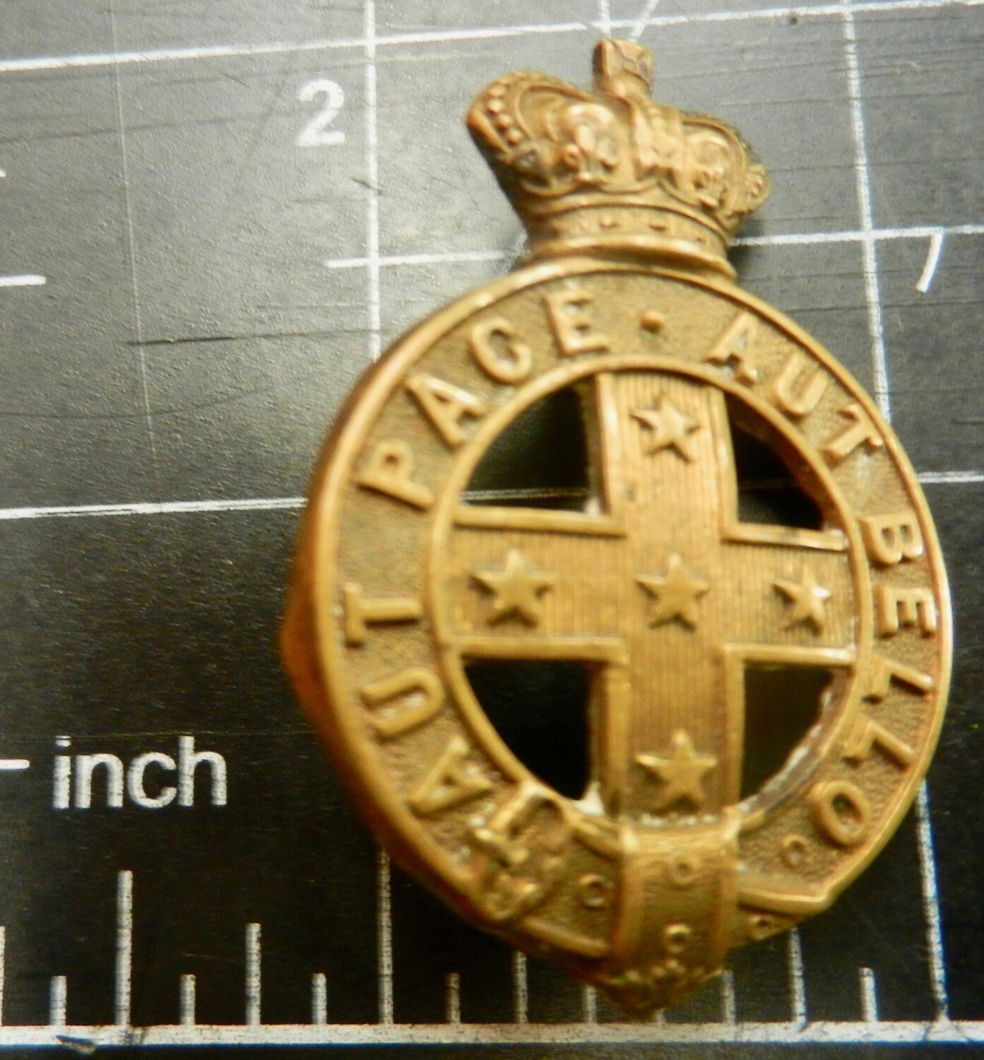 Victorian Military Forces, Pouch badge post-1884