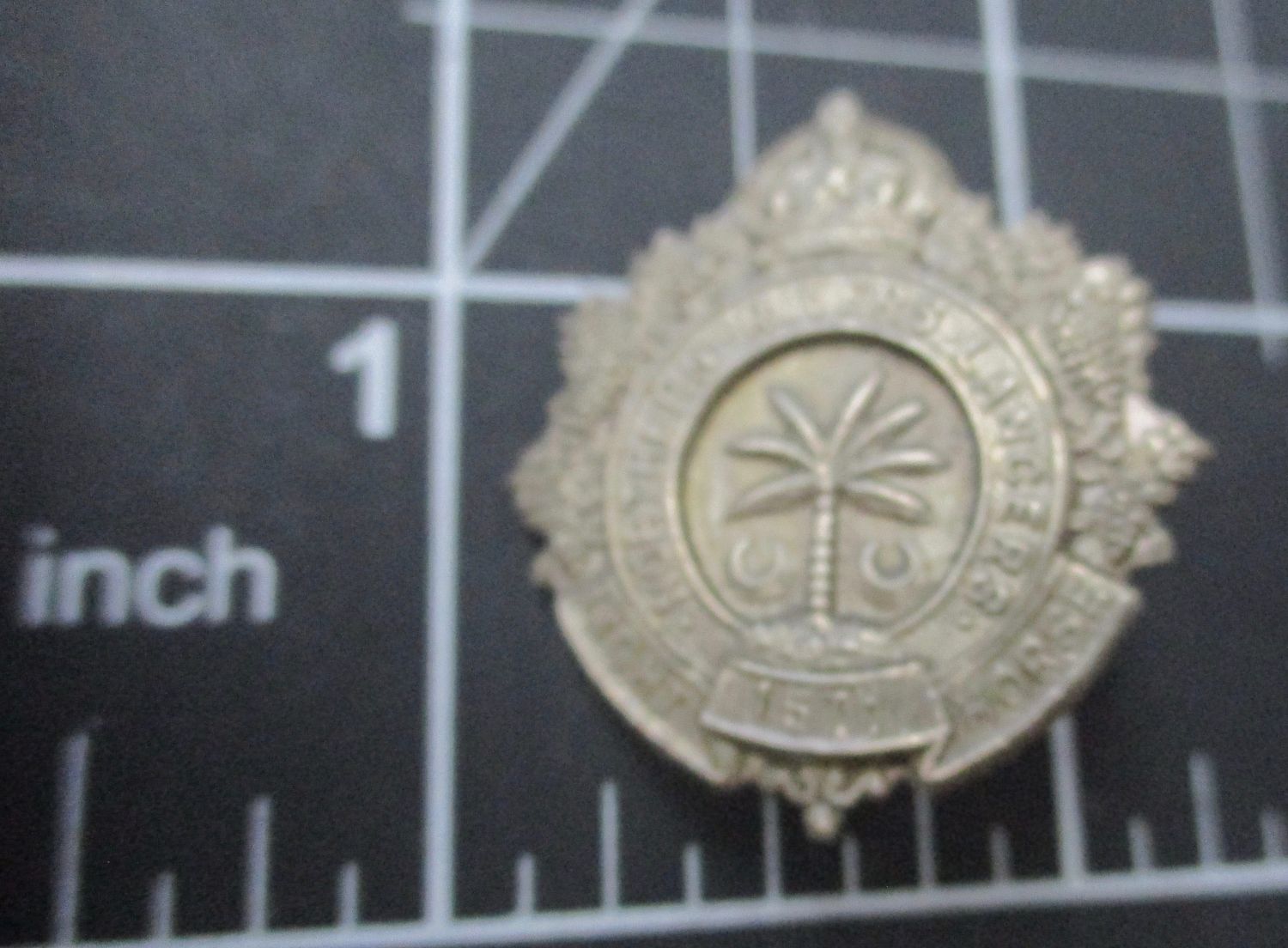 15th Light Horse 1930-42 Collar badge.