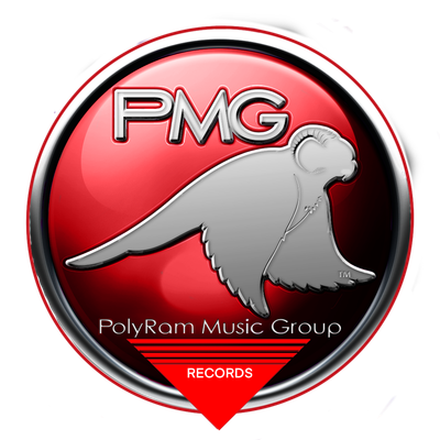 PMG ARTIST: Vinyl Records