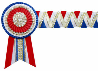 Diamante Browband